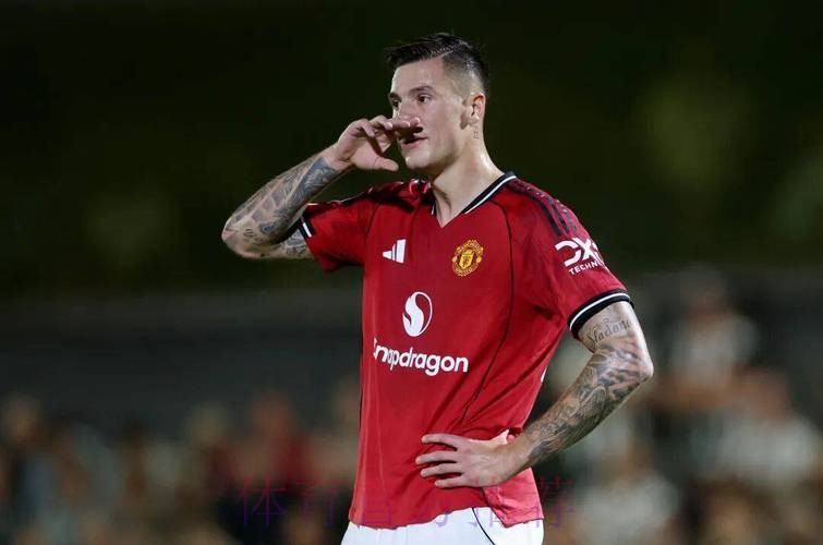 哈格里夫斯：谢什科进球精彩，但进攻重任不能压他一人身上